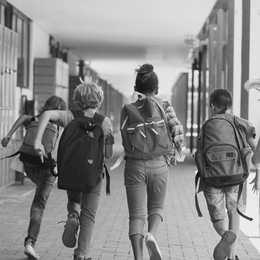 Contacto La Salle Chocillas